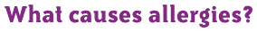 [DIMETAPP]