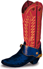 [COWBOY BOOT]