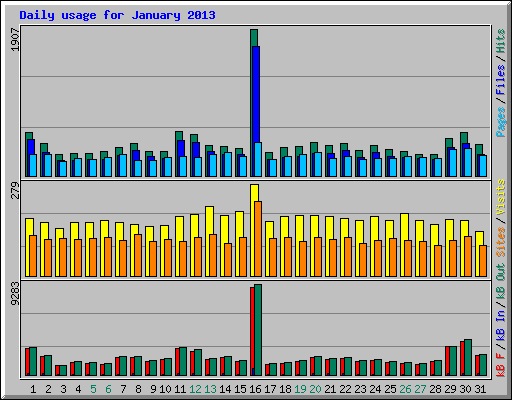 Daily usage for January 2013