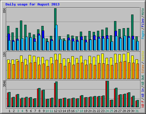 Daily usage for August 2013