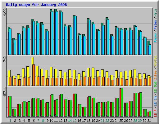 Daily usage for January 2023