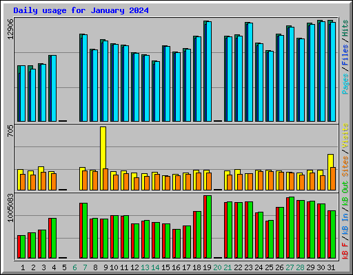 Daily usage for January 2024