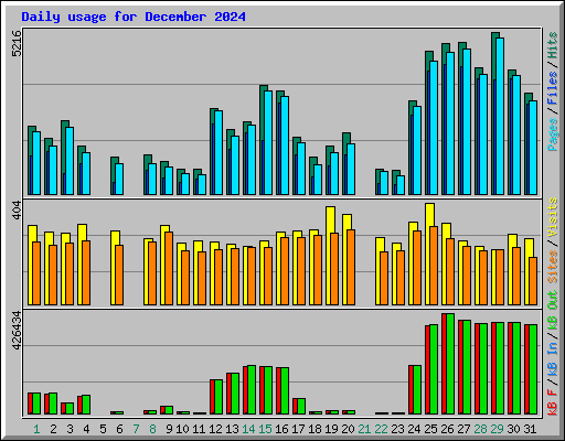 Daily usage for December 2024
