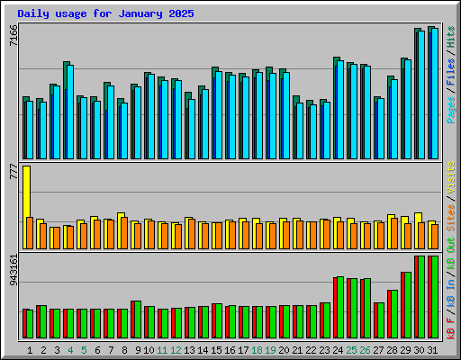 Daily usage for January 2025