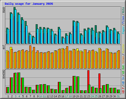 Daily usage for January 2026