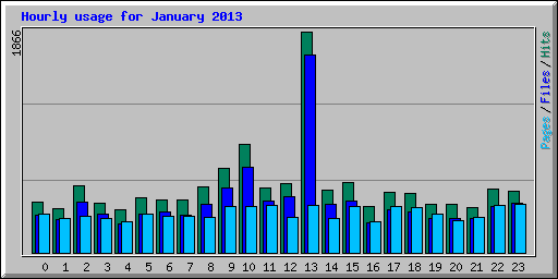 Hourly usage for January 2013