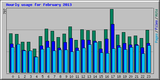 Hourly usage for February 2013