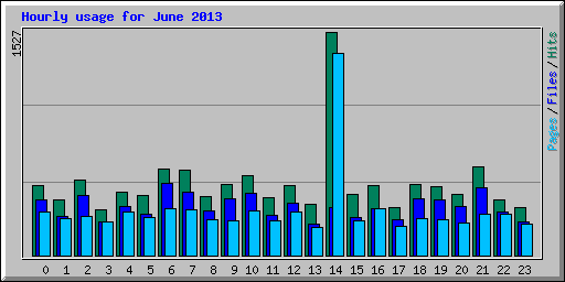 Hourly usage for June 2013