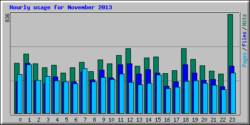 Hourly usage for November 2013