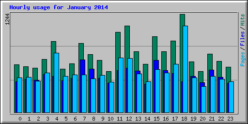 Hourly usage for January 2014