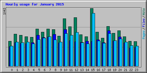 Hourly usage for January 2015