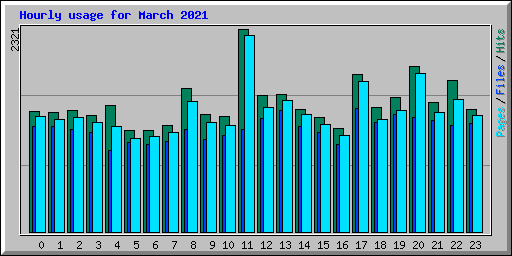 Hourly usage for March 2021