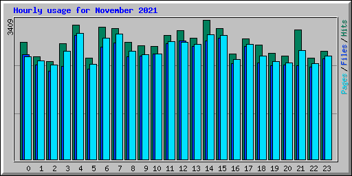 Hourly usage for November 2021