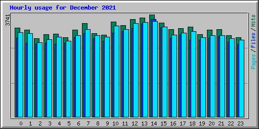 Hourly usage for December 2021