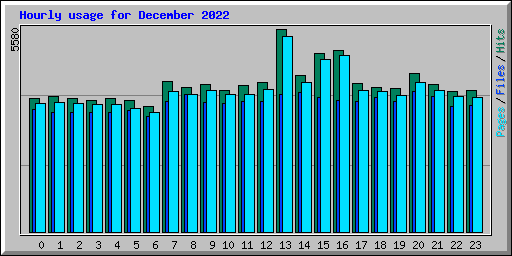 Hourly usage for December 2022