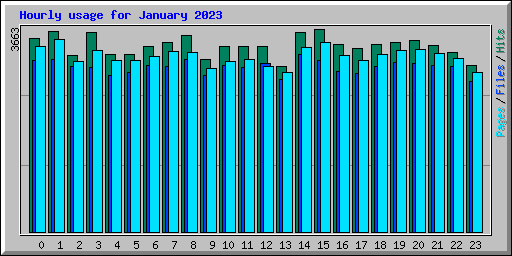 Hourly usage for January 2023