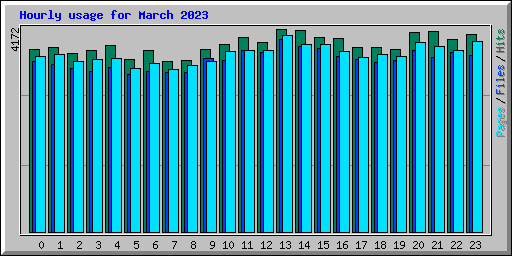 Hourly usage for March 2023