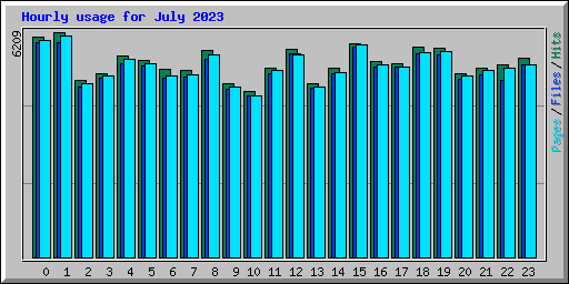 Hourly usage for July 2023