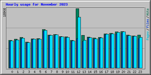 Hourly usage for November 2023