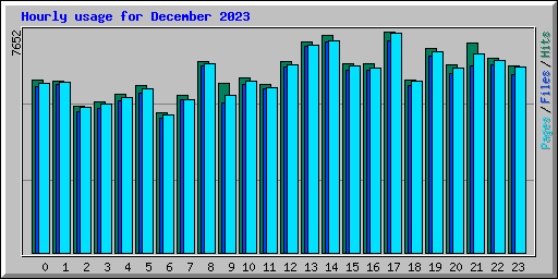 Hourly usage for December 2023