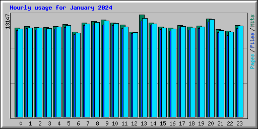 Hourly usage for January 2024