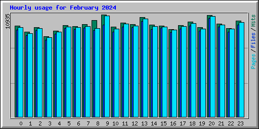 Hourly usage for February 2024