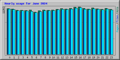 Hourly usage for June 2024