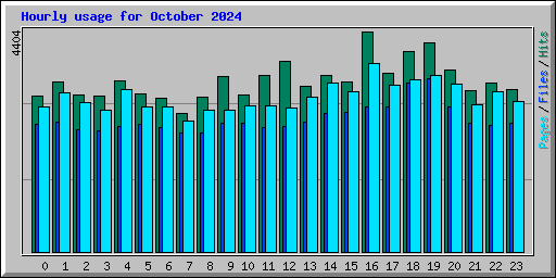Hourly usage for October 2024