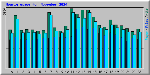 Hourly usage for November 2024