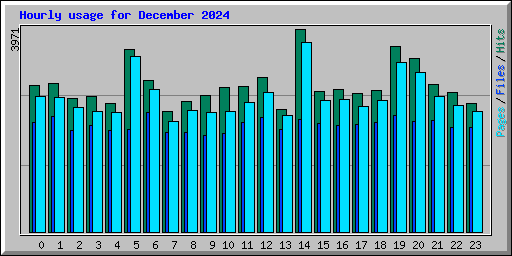 Hourly usage for December 2024