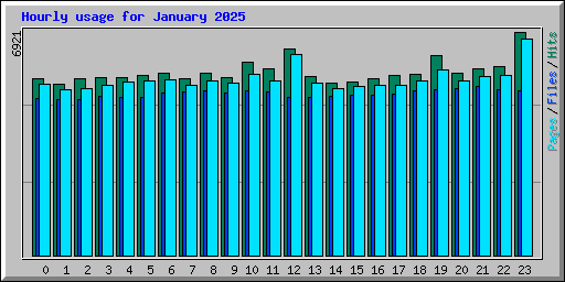 Hourly usage for January 2025