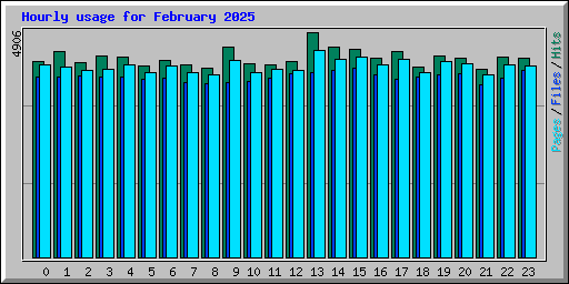 Hourly usage for February 2025