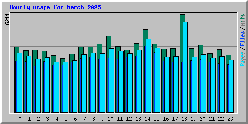 Hourly usage for March 2025