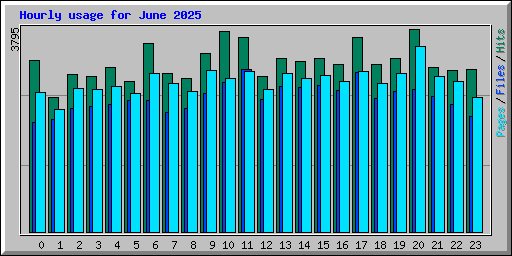 Hourly usage for June 2025