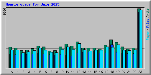 Hourly usage for July 2025
