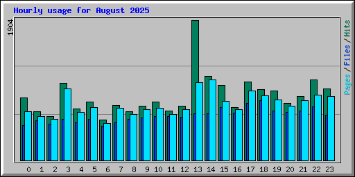 Hourly usage for August 2025