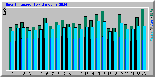 Hourly usage for January 2026