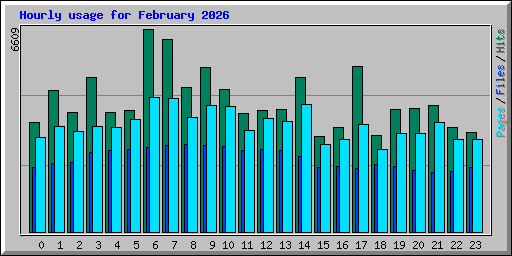 Hourly usage for February 2026